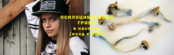 тгк Переславль-Залесский