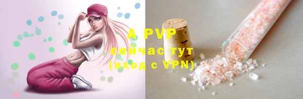 apvp Гатчина