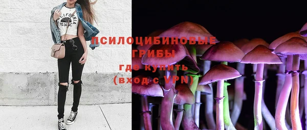 тгк Переславль-Залесский