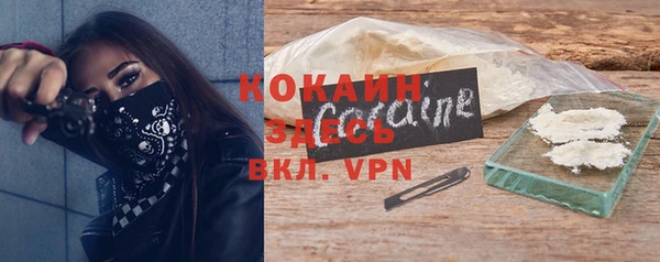 apvp Гатчина