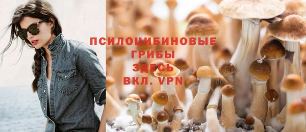 метадон Пересвет